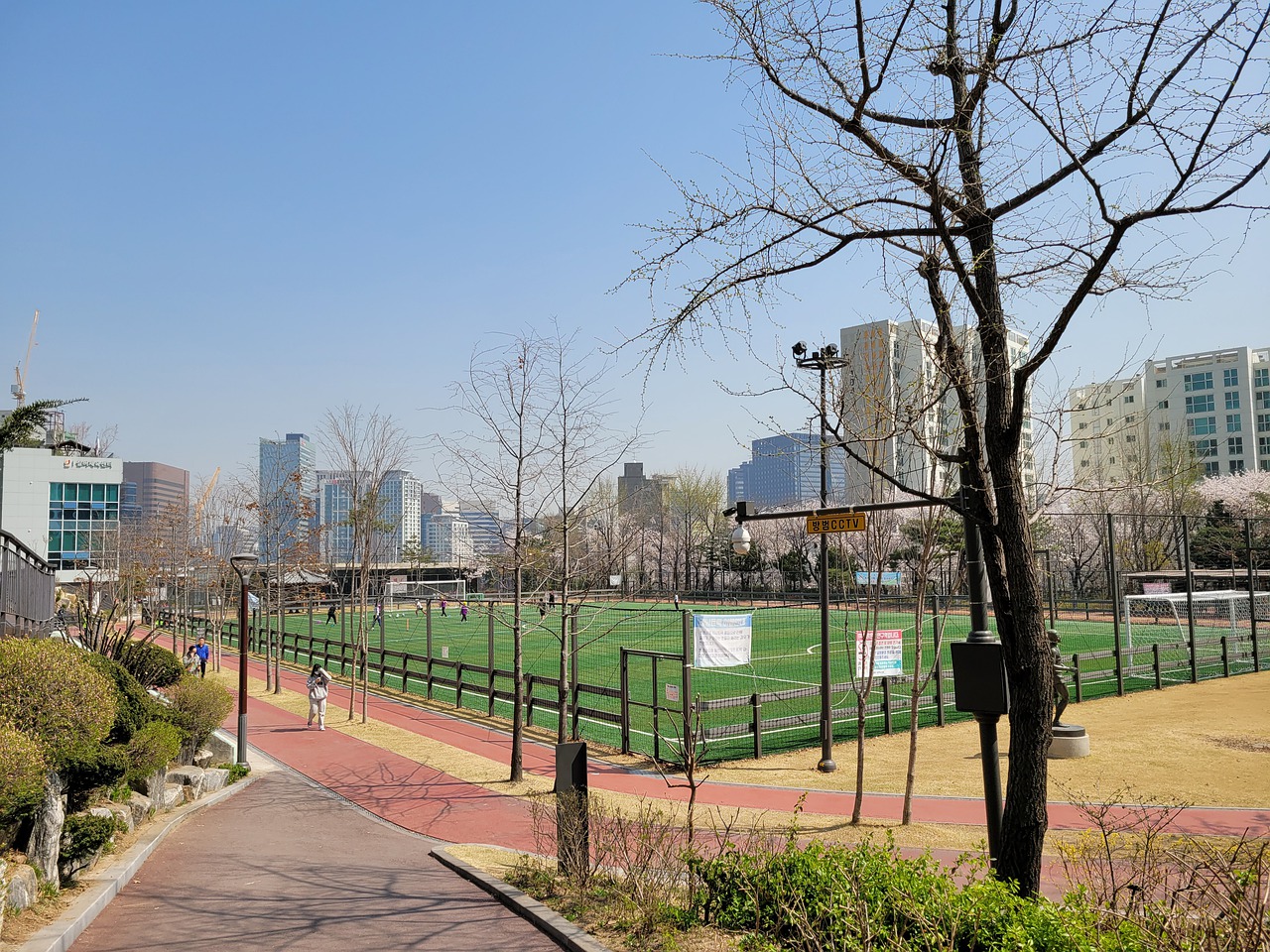 场新星B罗 场新星B罗