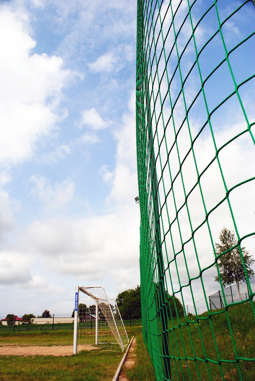 了中国体育 了中国体育