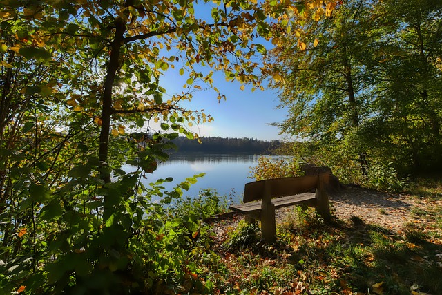 的职业生涯 的职业生涯