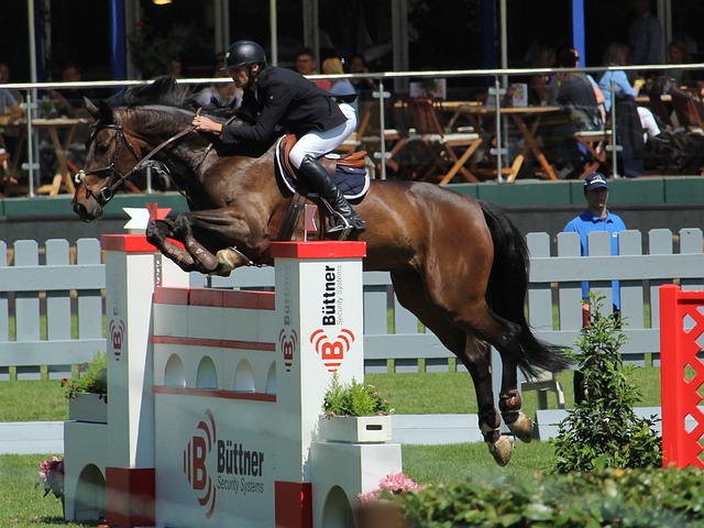 尤其是他的 尤其是他的