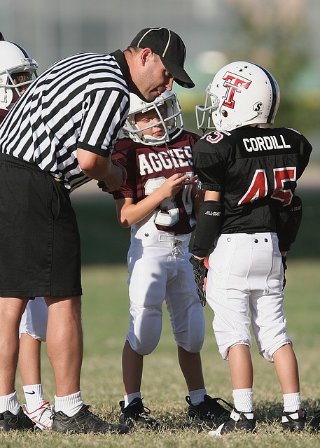 炫耀导致失 炫耀导致失