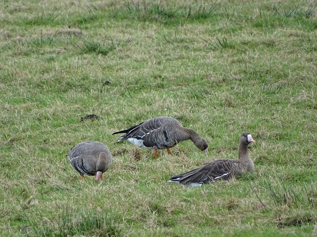 围绕单人建 围绕单人建